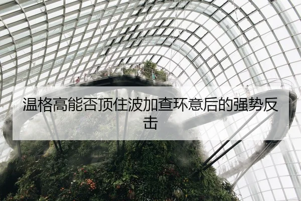 温格高能否顶住波加查环意后的强势反击
