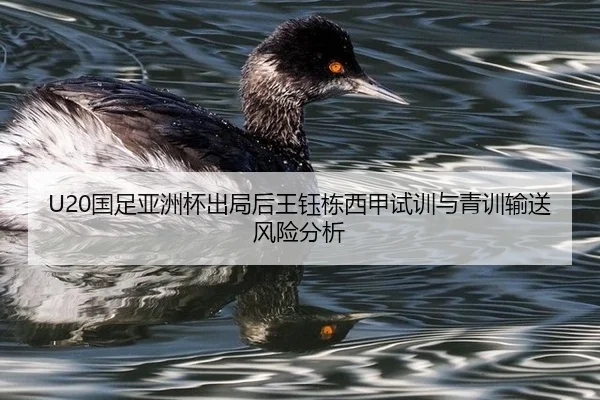 guo-zu-ya-zhou-bei-chu-ju-hou-wang-yu-dong-xi-jia-shi-xun-yu-qing-xun-shu-song-feng-xian-fen-xi-2-496.jpg