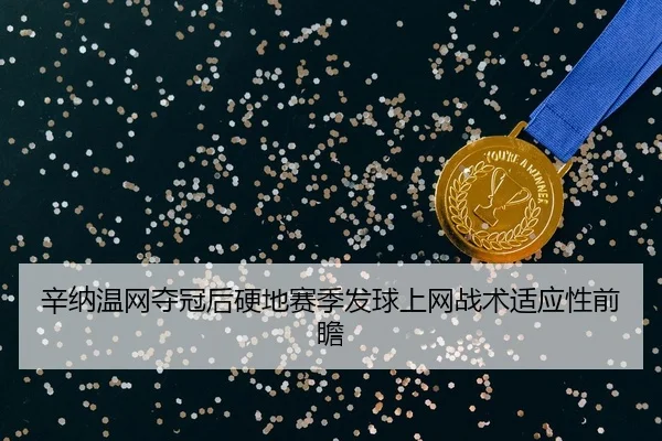 xin-na-wen-wang-duo-guan-hou-ying-di-sai-ji-fa-qiu-shang-wang-zhan-shu-shi-ying-xing-qian-zhan-2-280.jpg